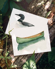 Loon Box of 6 Note Cards