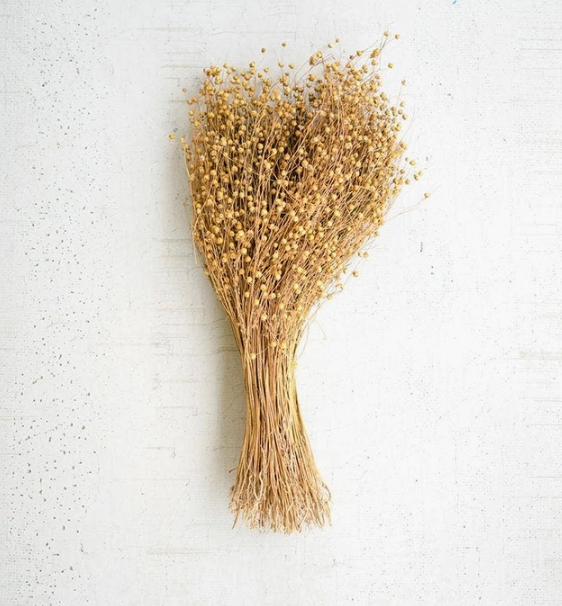 Bundle of Natural Lino Stems