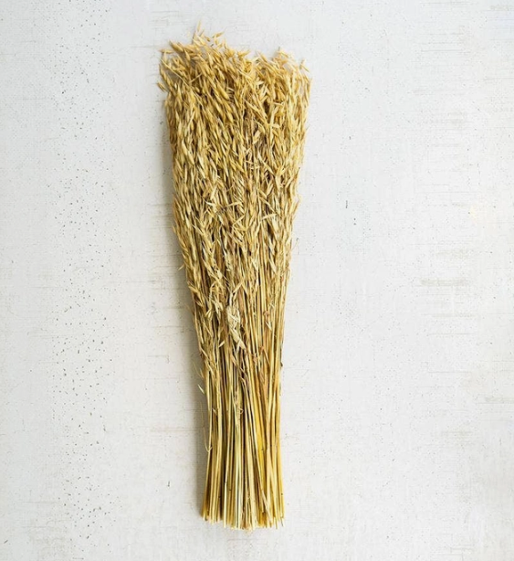 Bundle of Natural Sea Oats