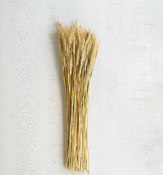 Bundle of Natural Wheat Stems