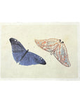 16"x12" Flora & Fauna Collection