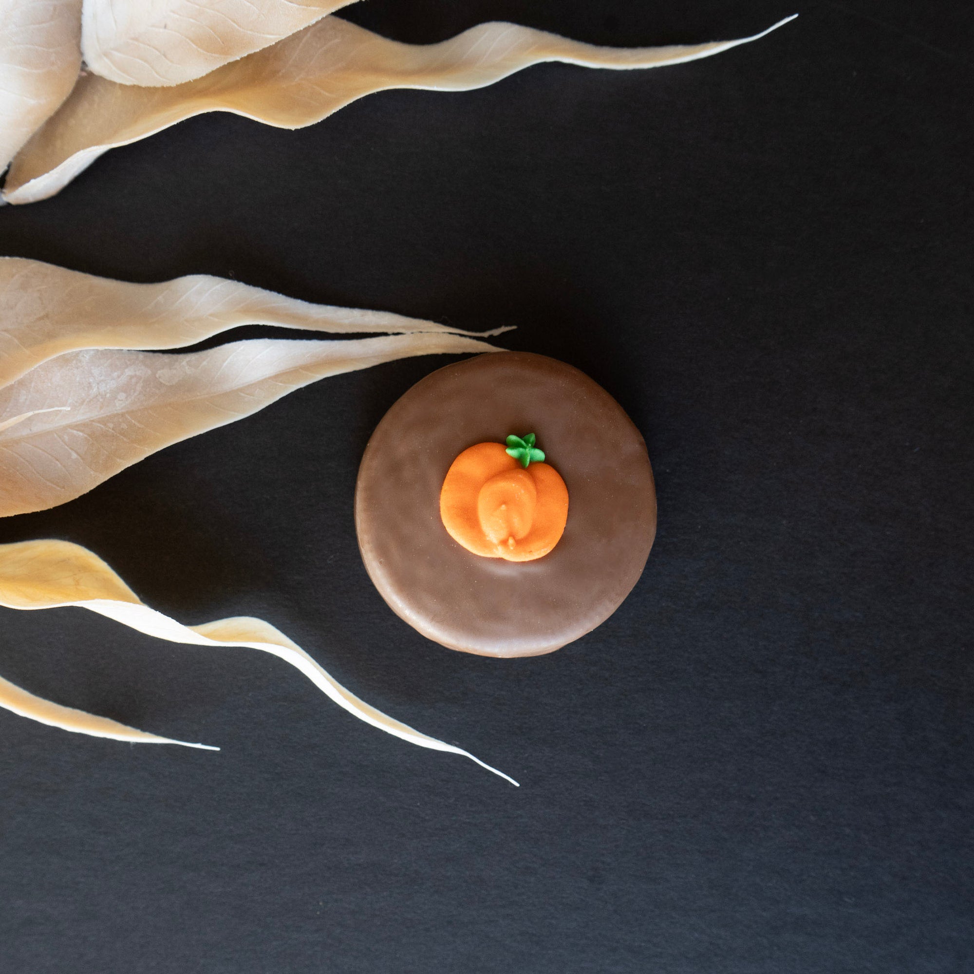 Single Pumpkin Chocolate Oreo
