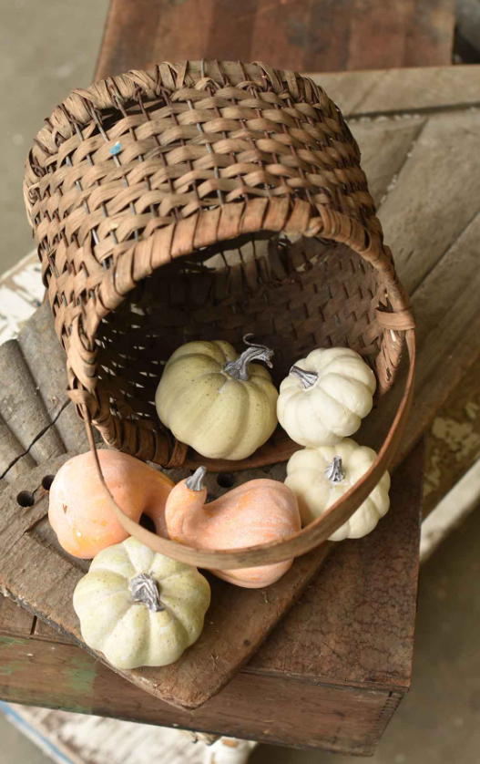 Mini Fall's Folly Pumpkins and Gourds