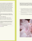 Forage & Feast Cookbook by Chrissy Tracey