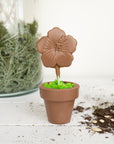 Chocolate Flower Pot with Pop and Oreo Dirt