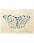 16"x12" Flora & Fauna Collection