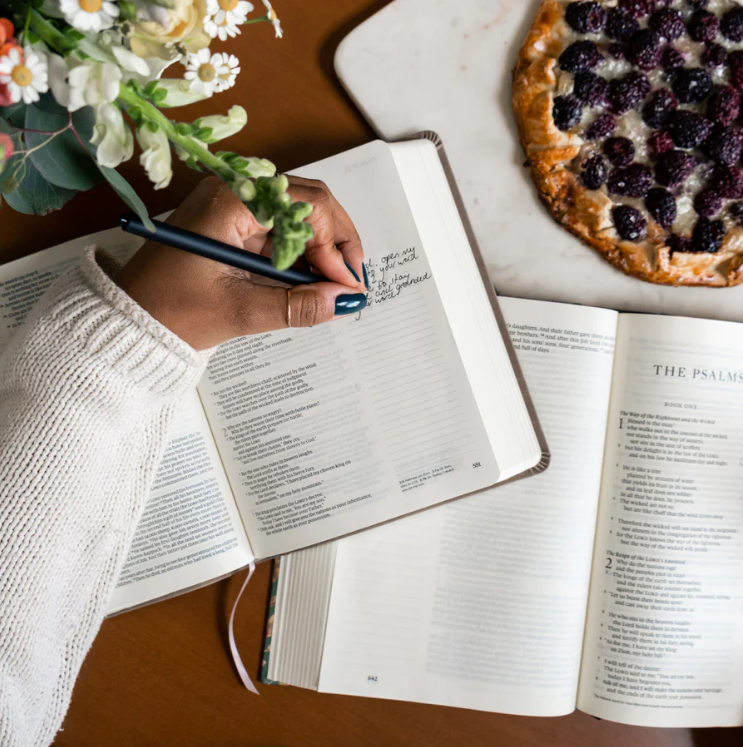 Marlo Theme NLT Notetaking Bible