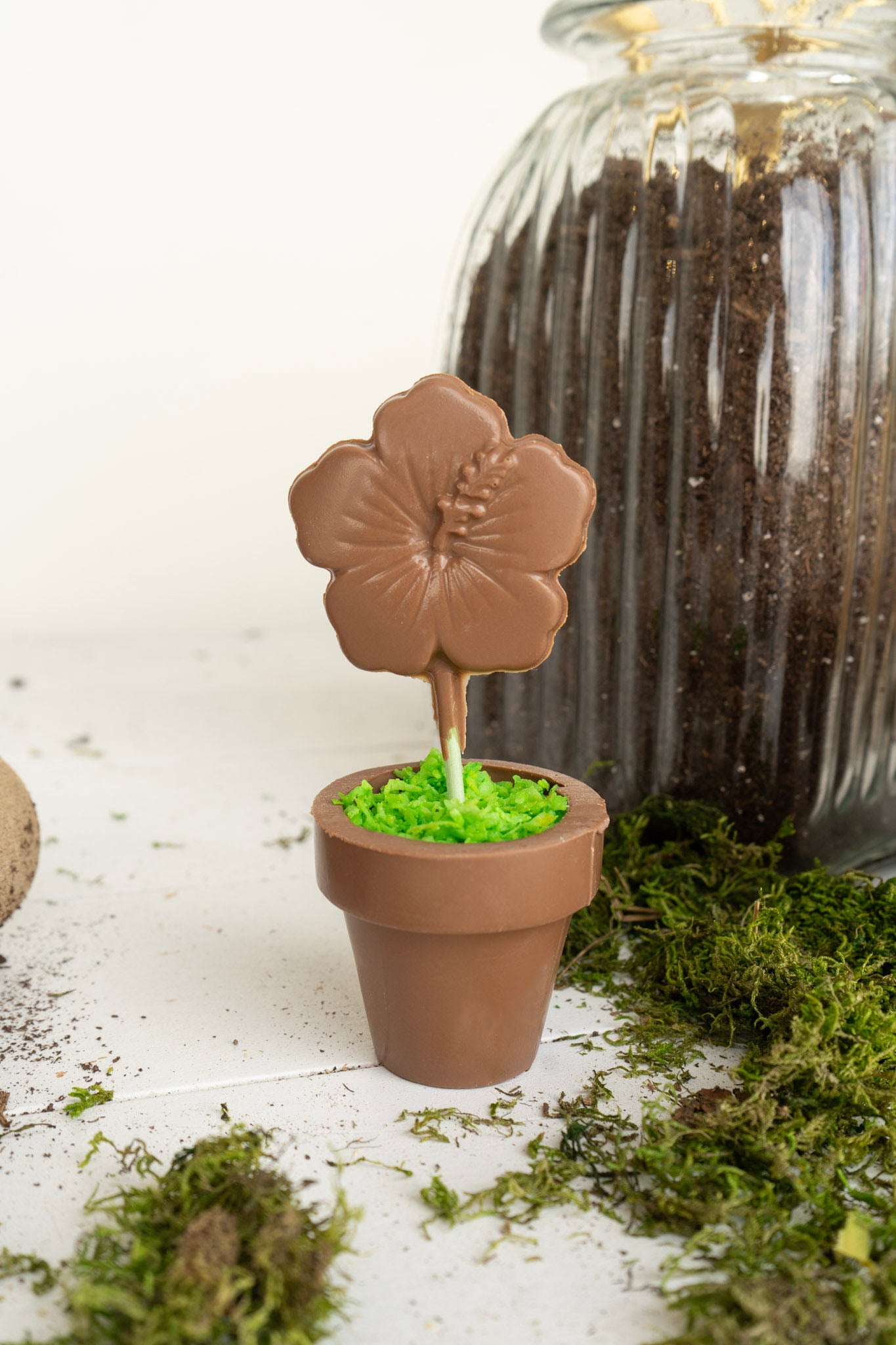 Chocolate Flower Pot with Pop and Oreo Dirt