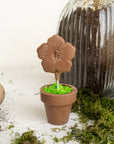 Chocolate Flower Pot with Pop and Oreo Dirt