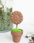 Chocolate Flower Pot with Pop and Oreo Dirt
