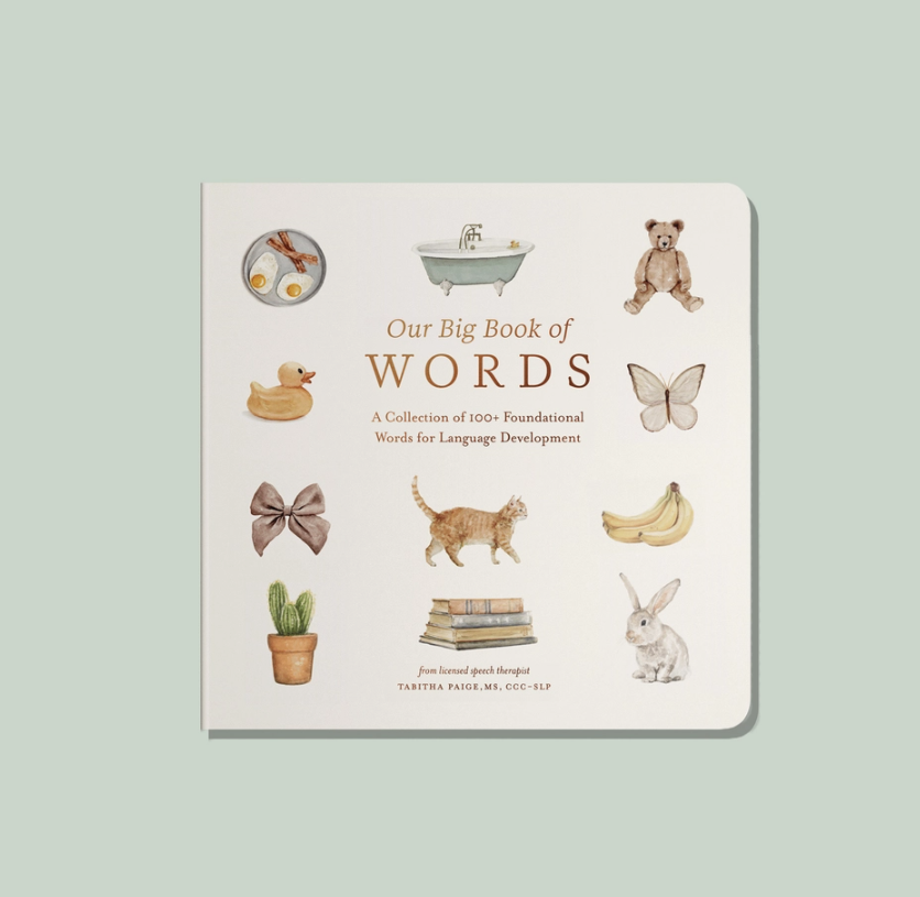 Our Big Book of Words By Tabitha Paige