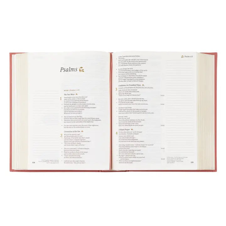 Rosedal Theme CSB Journaling Bible