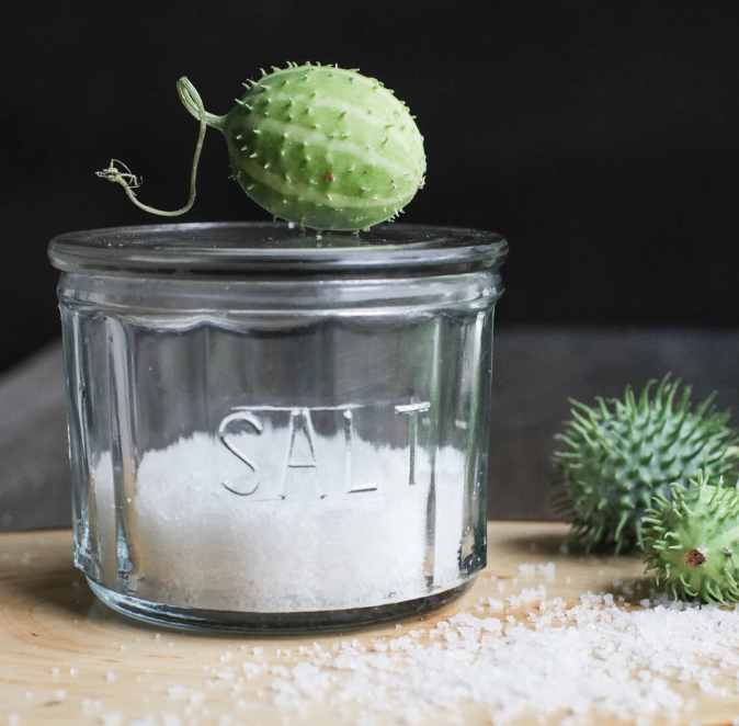 Round Glass Salt Cellar