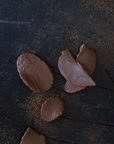 Milk Chocolate Scruffy City Chips