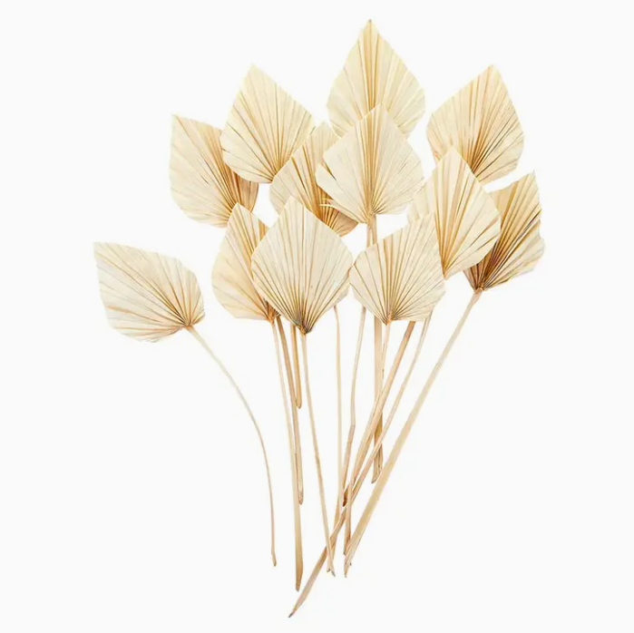 Palm Spear Botanical Decor - White - Final Sale