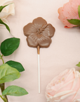 Hibiscus Flower Chocolate Pop