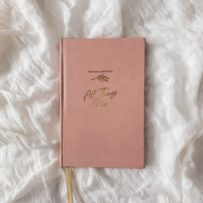 All Things New Praying Scripture Journal