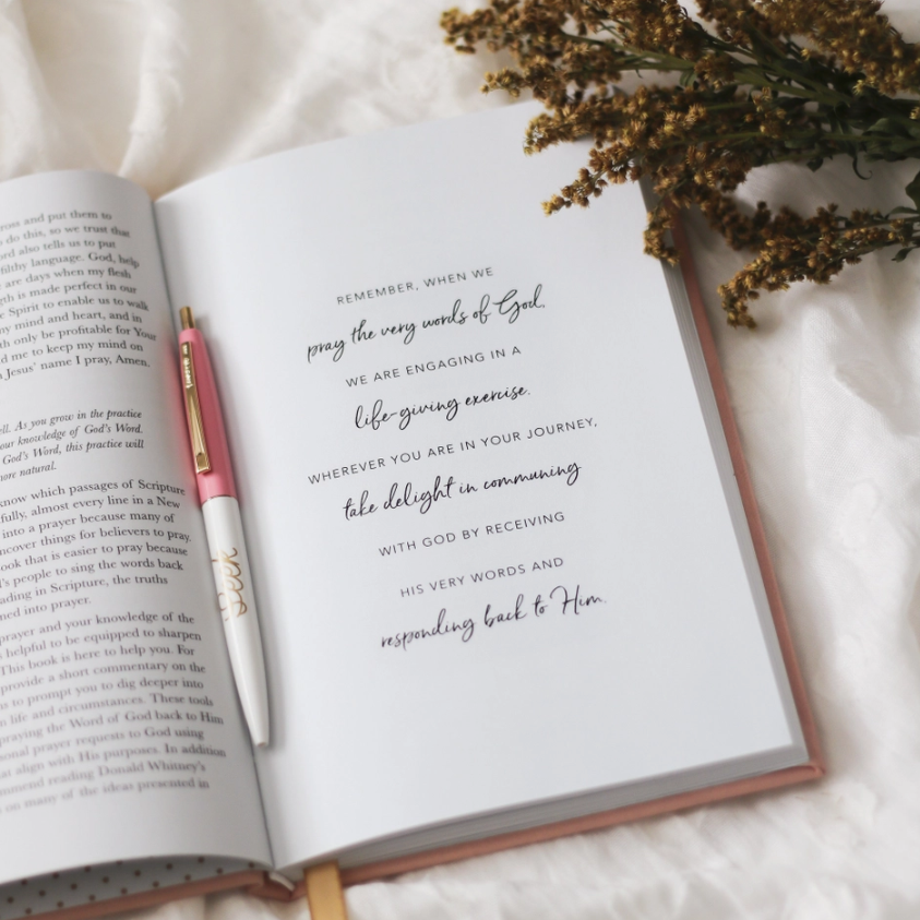 All Things New Praying Scripture Journal