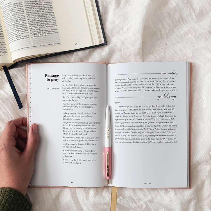 All Things New Praying Scripture Journal