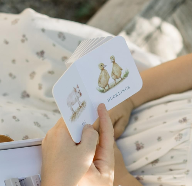 Our Very Little Library Book Set By Tabitha Paige