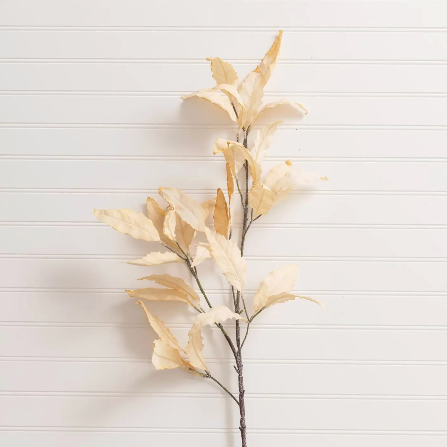 Branch - Cream Leaf