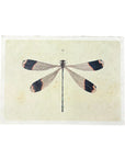 16"x12" Flora & Fauna Collection