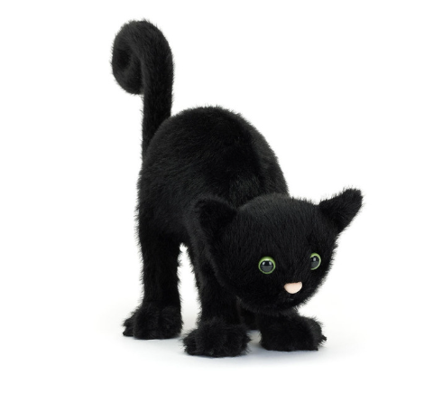 Spookipaws Cat