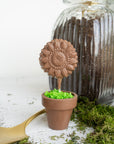 Chocolate Flower Pot with Pop and Oreo Dirt