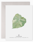 Thank You Leaves Card
