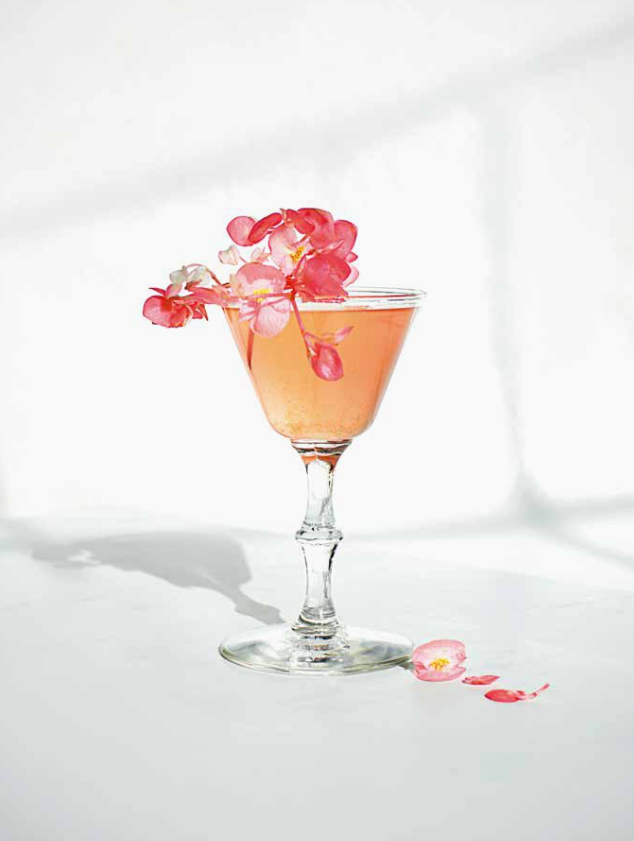 The Flower-Infused Cocktail Cookbook by Alyson Brown