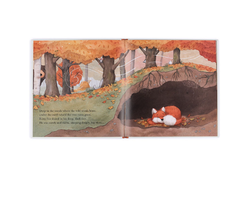 Warm In the Storm Book