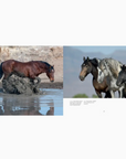 Wild Horses of the West by Jan Drake