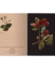 Forest Sparrows Notebook