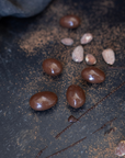 Milk Chocolate Always Covered Almonds