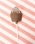 Cupcake w/Sprinkles Birthday Pop