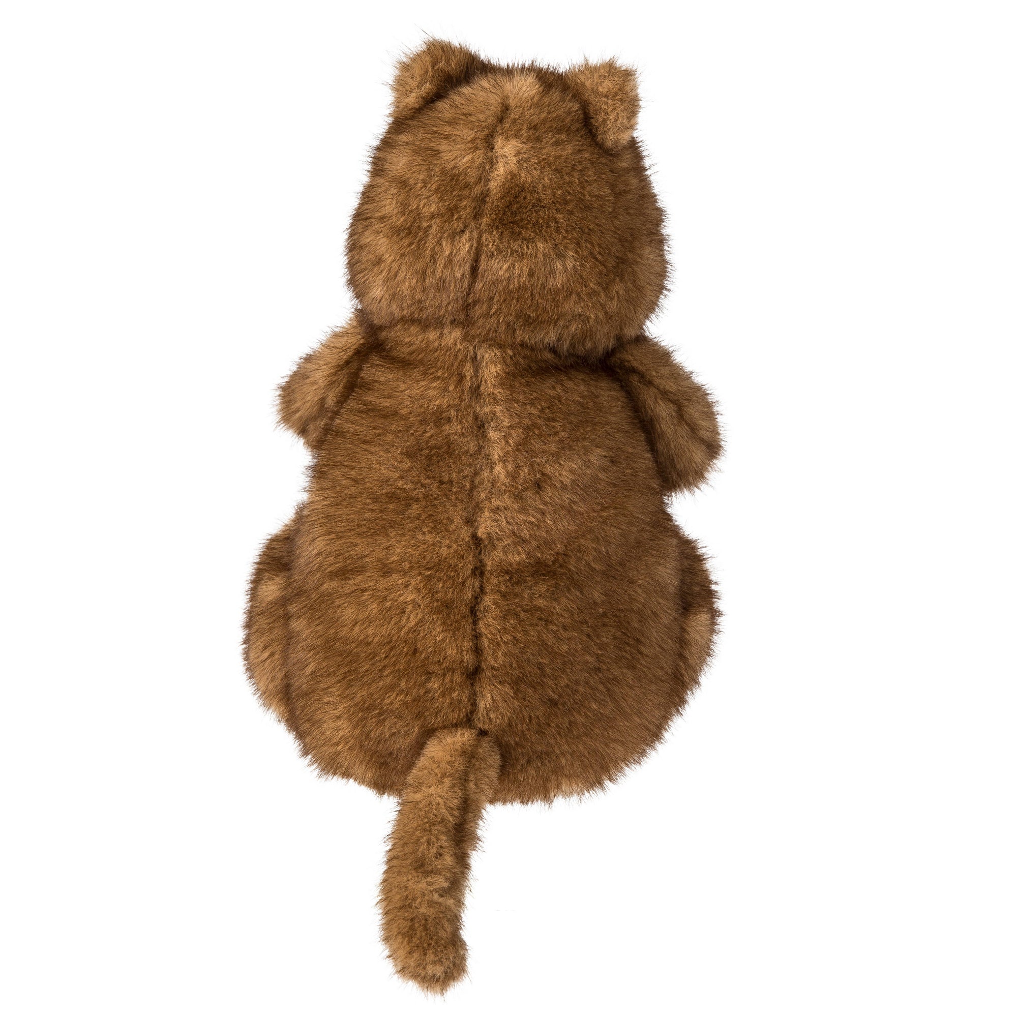 Chipper Quokka 