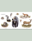 Our Big Book of Animals Board Book
