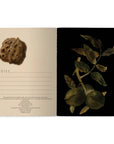 Forest Flora Notebook