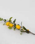 Lemons With Blossoms Stem