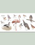 Our Big Book of Animals Board Book