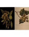 Forest Flora Notebook