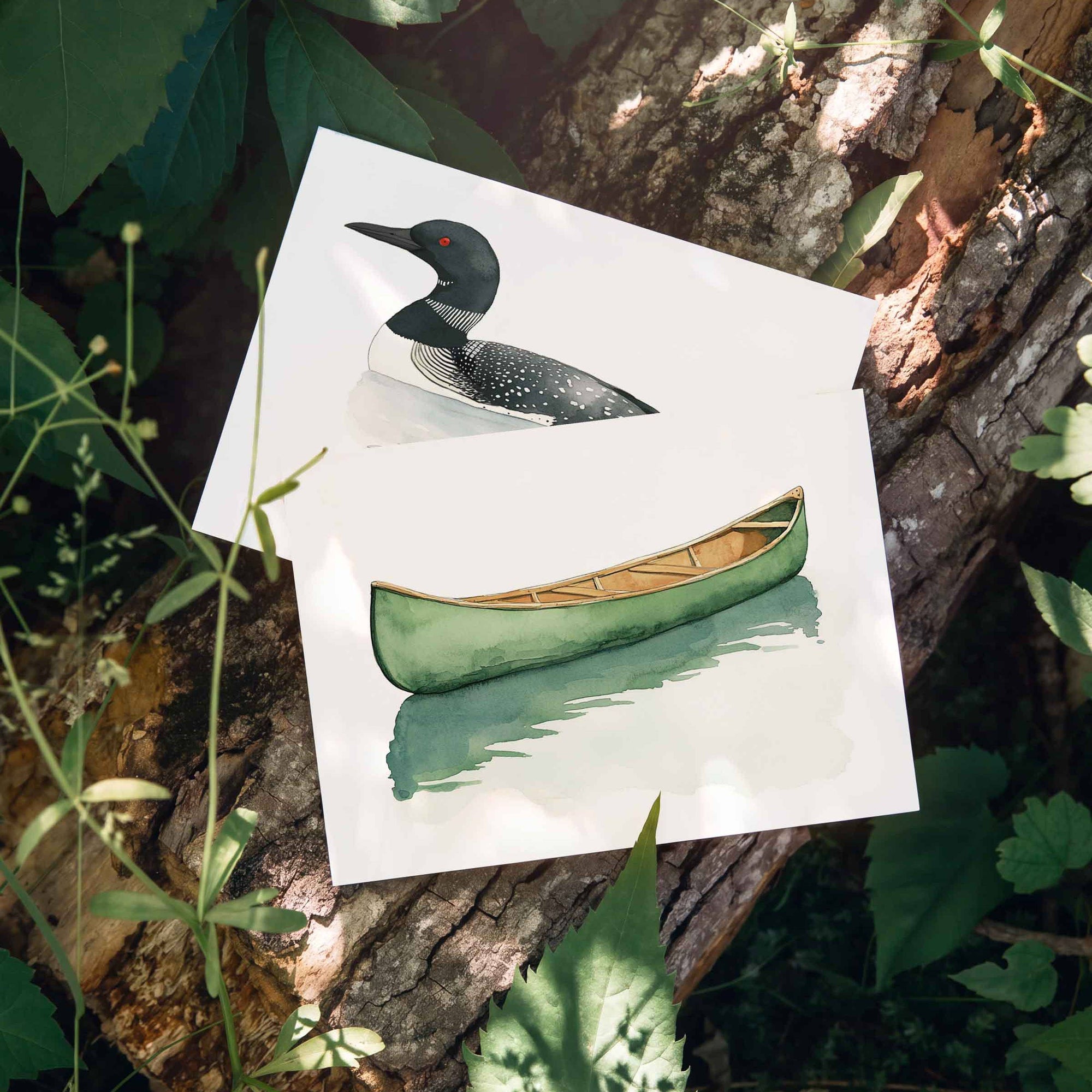 Loon Box of 6 Note Cards