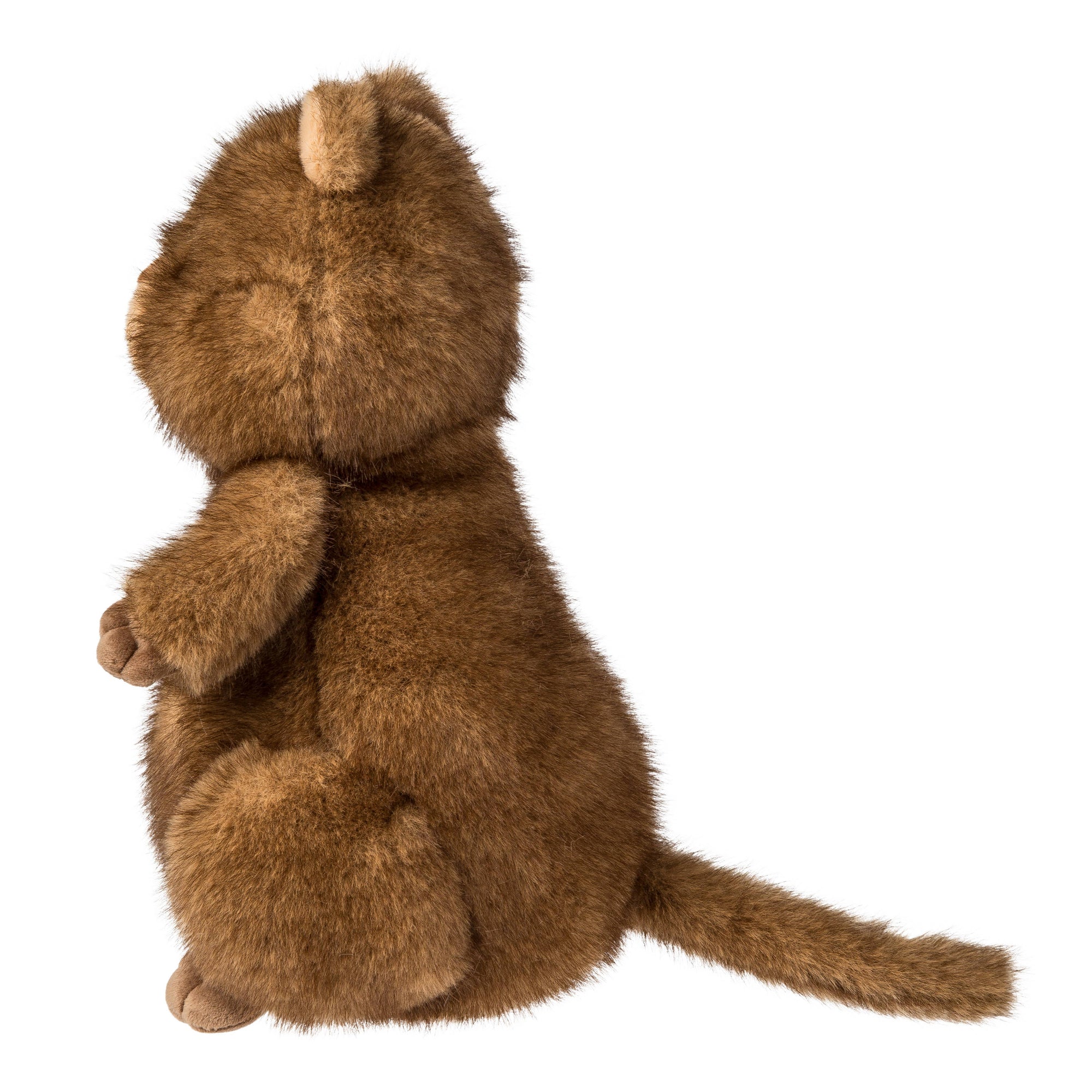 Chipper Quokka 