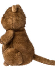 Chipper Quokka 