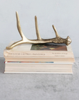 Aluminum Antler Decor, Gold Finish