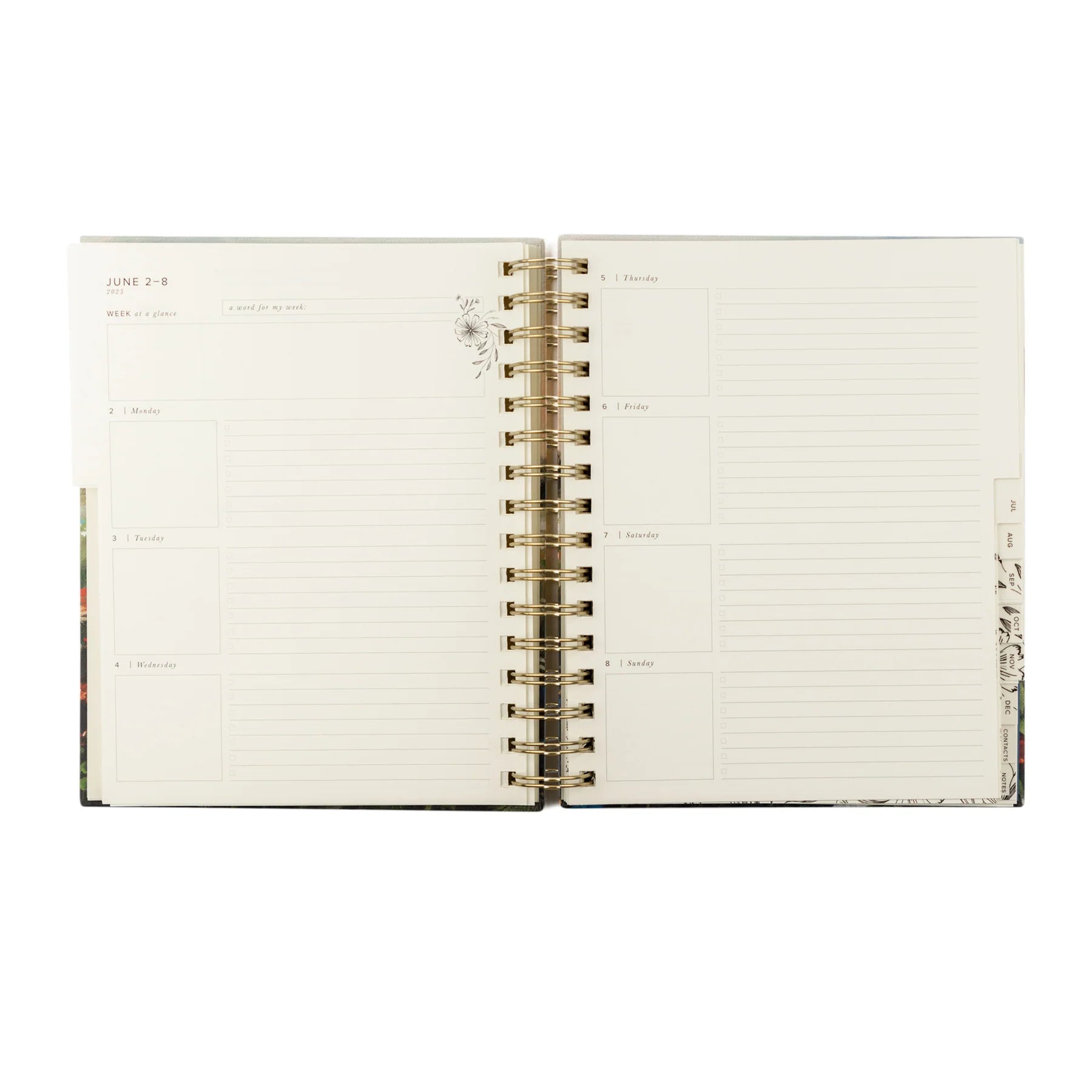 12 Month 2025 Dated Planner, Coram Theme