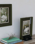 Swan Wood Framed Glass Wall Decor
