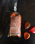 Milk Chocolate Fall Leaves