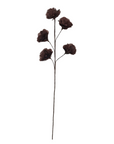 Feather Flower Stem, Burgundy