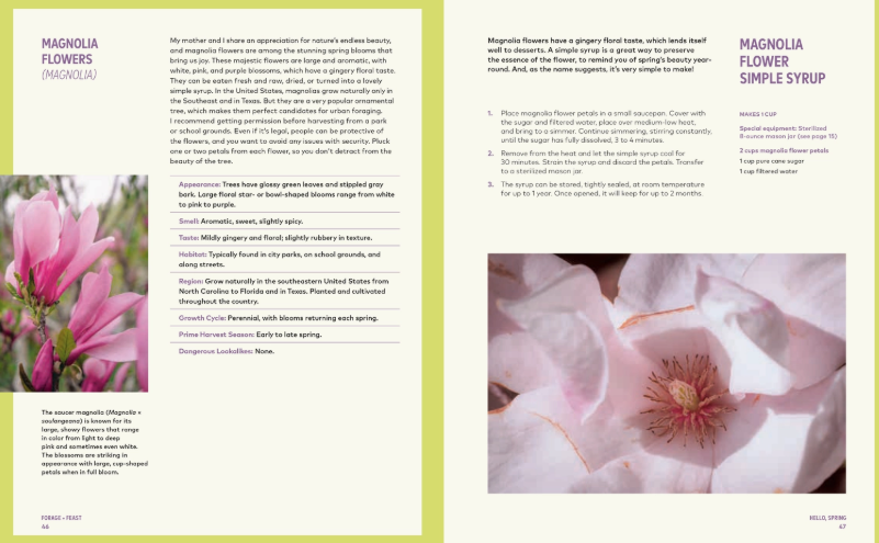 Forage &amp; Feast Cookbook by Chrissy Tracey